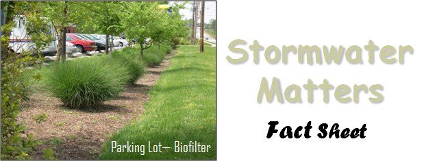 Stormwater Matters