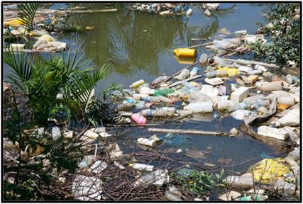 Water Pollution Photo