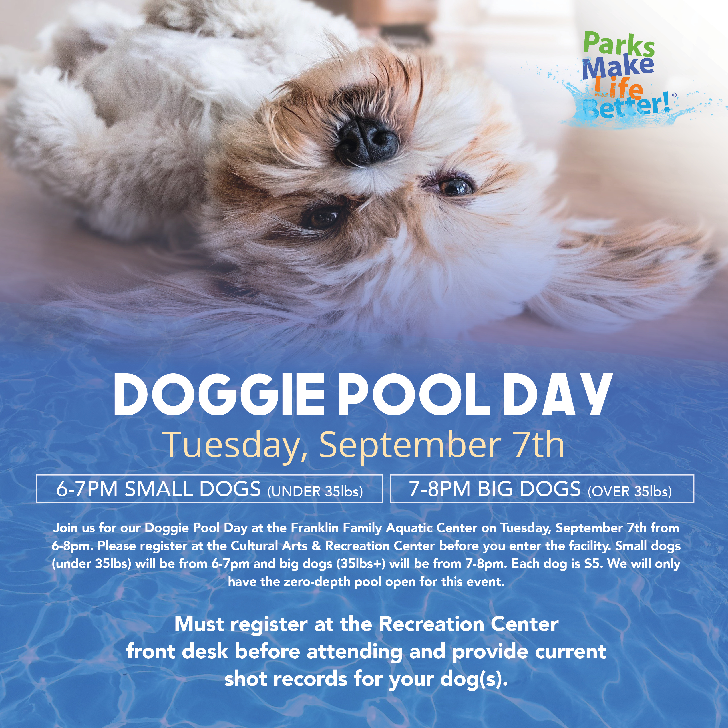 Doggie Day at the Pool