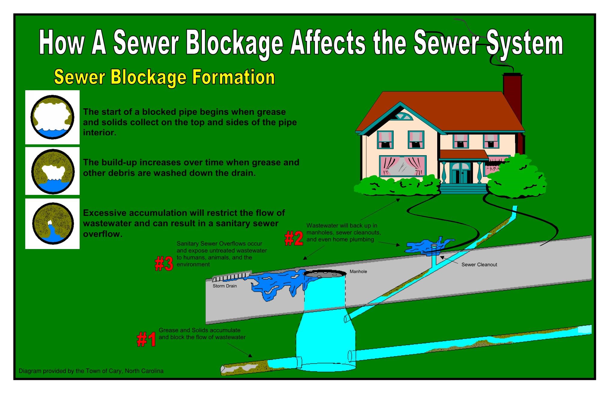 Sewer Blockages