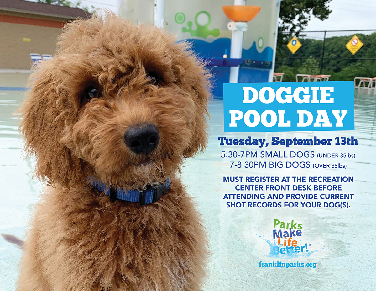 Doggie Pool Day