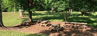 Picnic Site