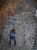 Climbing Wall 5