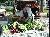 Franklin Farmers Market-Opens June 9